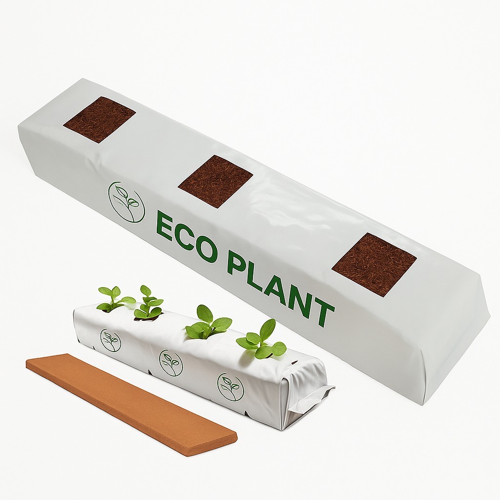 Coco peat grow bags layout in a polyhouse